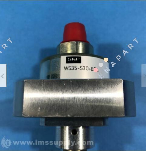 WS35-2+B31 Level Switch